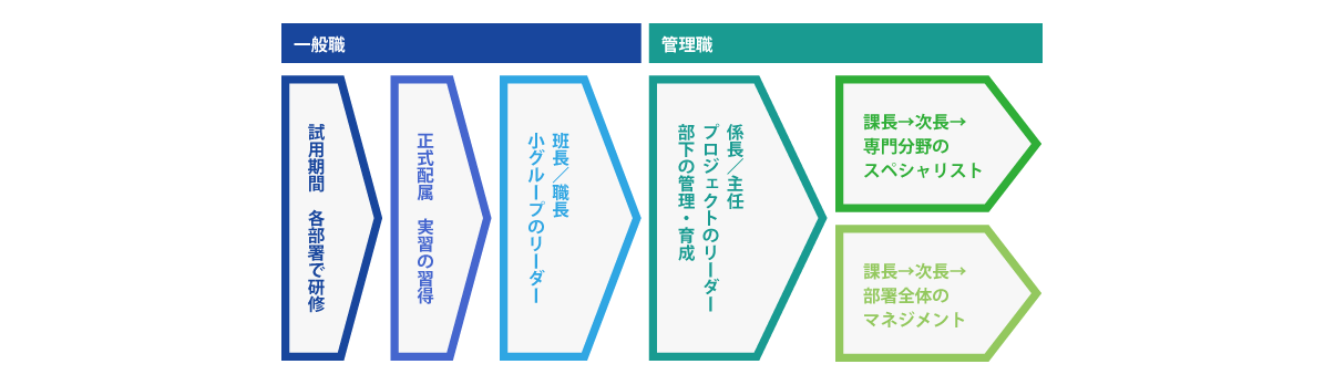 三光化成のキャリアパス